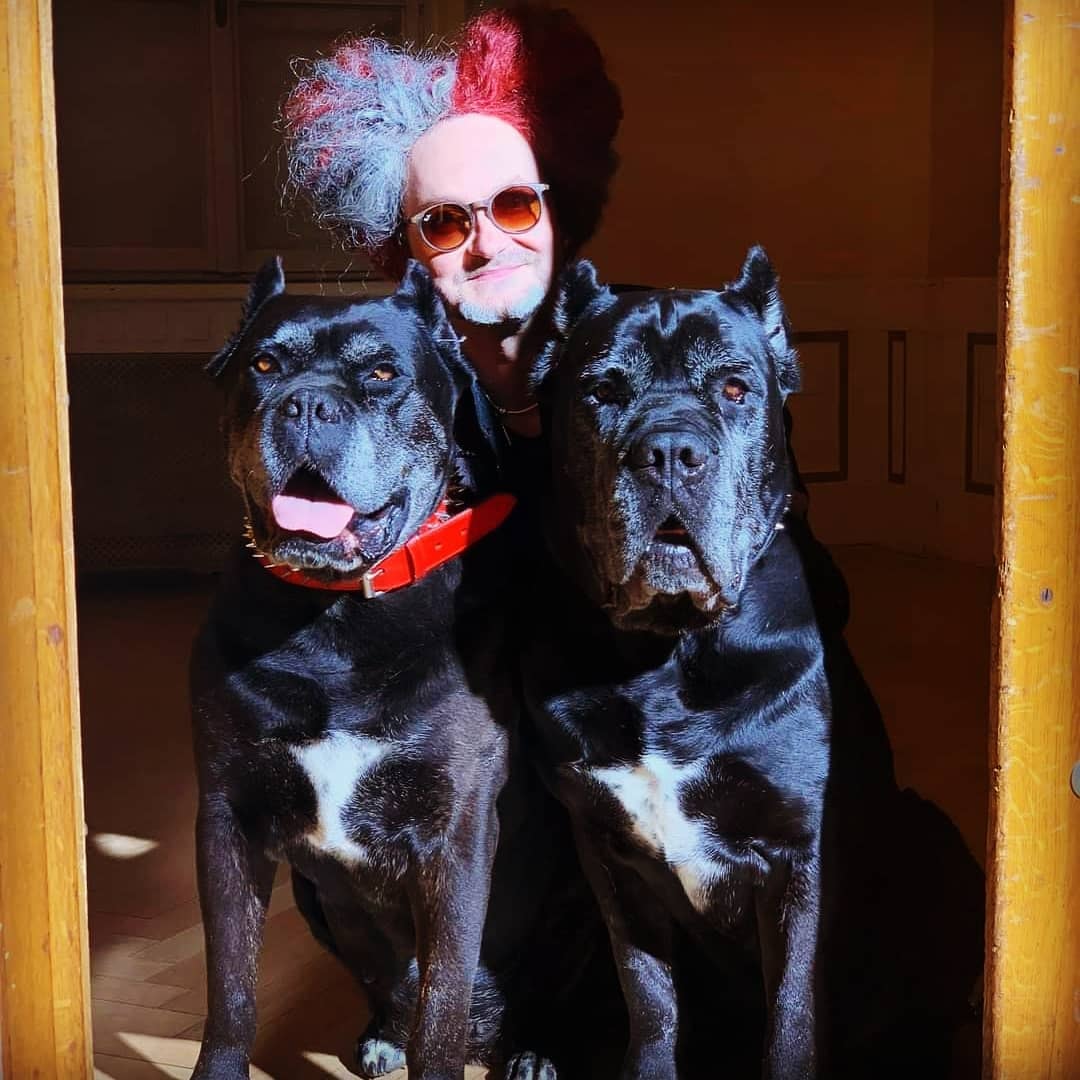 Dogs and Dr. Rose Dogs and Dr. Rose